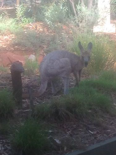 Queensland Winter Craft Festival - Hervey Bay Accommodation 4
