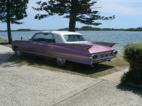 Hallows' Eve - Tourism Hervey Bay 0