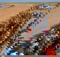 28th Marree Australasian CAMEL CUP 3 July 2021 - Tourism Hervey Bay