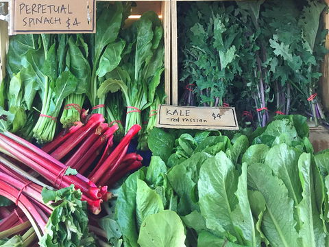 Albury Wodonga Farmers Market - Hervey Bay Accommodation 0