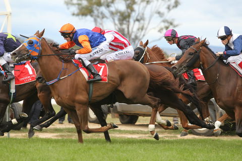 Albury Racing Club January Race Day - Hervey Bay Accommodation 1