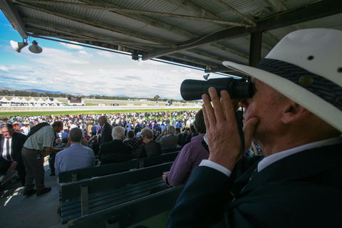 Albury Racing Club January Race Day - Hervey Bay Accommodation 2