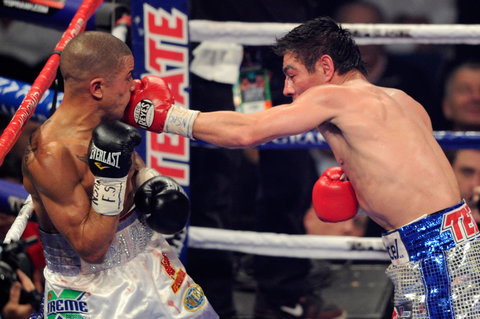 Australia Allstars Vs The World - Tourism Hervey Bay 1
