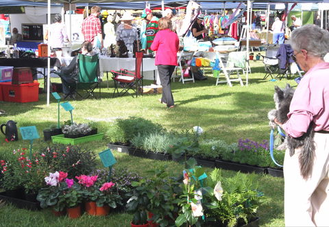 Batemans Bay Sunday Market - Hervey Bay Accommodation 2