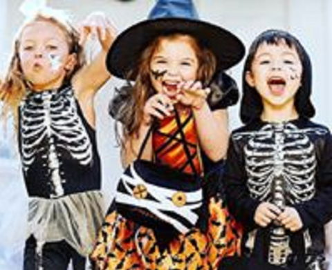 Boo! At The Zoo! - Hervey Bay Accommodation 2