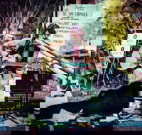 Buskers by the Lake - Tourism Hervey Bay