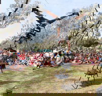 Coffs Harbour International Buskers and Comedy Festival - Hervey Bay Accommodation