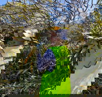 Conservation Volunteers Australia Townsville - Beach Scrub Conservation - Hervey Bay Accommodation