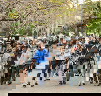 Diabetes Australia Walk to Work Day-Sydney - Hervey Bay Accommodation