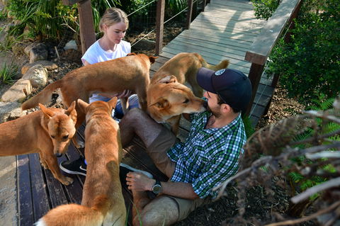 Dingo Den Discovery Experience - Tourism Hervey Bay 1