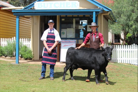 Festival Of The Big Cow - Hervey Bay Accommodation 2