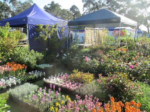 Gippsland Garden And Home Expo-Drouin Lions Club - Hervey Bay Accommodation 1