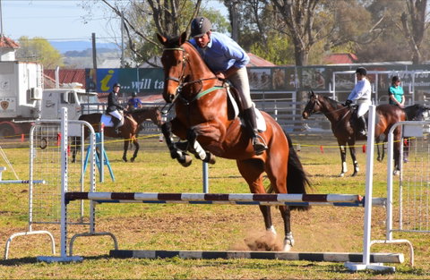Glen Innes Pastoral And Agricultural Show - Hervey Bay Accommodation 0