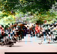 Hahndorf Christkindlmarkt - Hervey Bay Accommodation