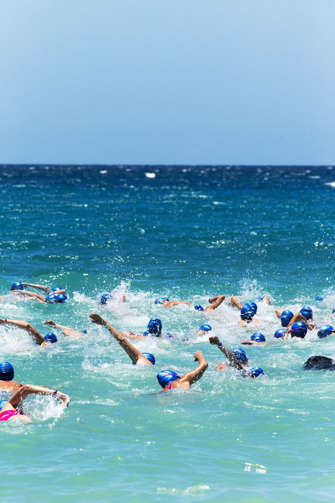 Hamilton Island Endurance Series - Whitehaven Beach Ocean Swim - Hervey Bay Accommodation 0