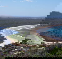 Head to Head Walk Run - Hervey Bay Accommodation