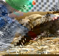 Horsham Agricultural Show - Hervey Bay Accommodation