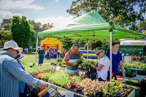 Huskisson Market - Tourism Hervey Bay 0