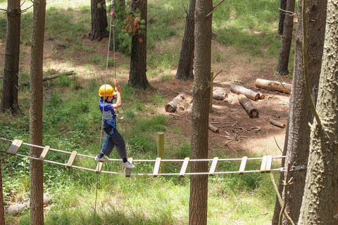 July 2020 Holidays- Go Wild At The Mt Lofty Adventure Hub - Tourism Hervey Bay 0
