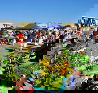 Maclean Macmarket Day - Tourism Hervey Bay