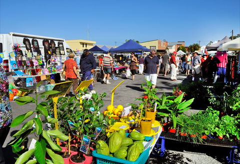 Maclean Macmarket Day - Tourism Hervey Bay 0