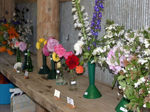 Neville Show - Tourism Hervey Bay 0