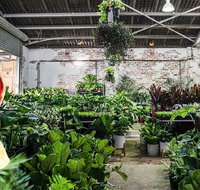Newcastle - Huge Indoor Plant Warehouse Sale - Christmas Bonanza - Tourism Hervey Bay