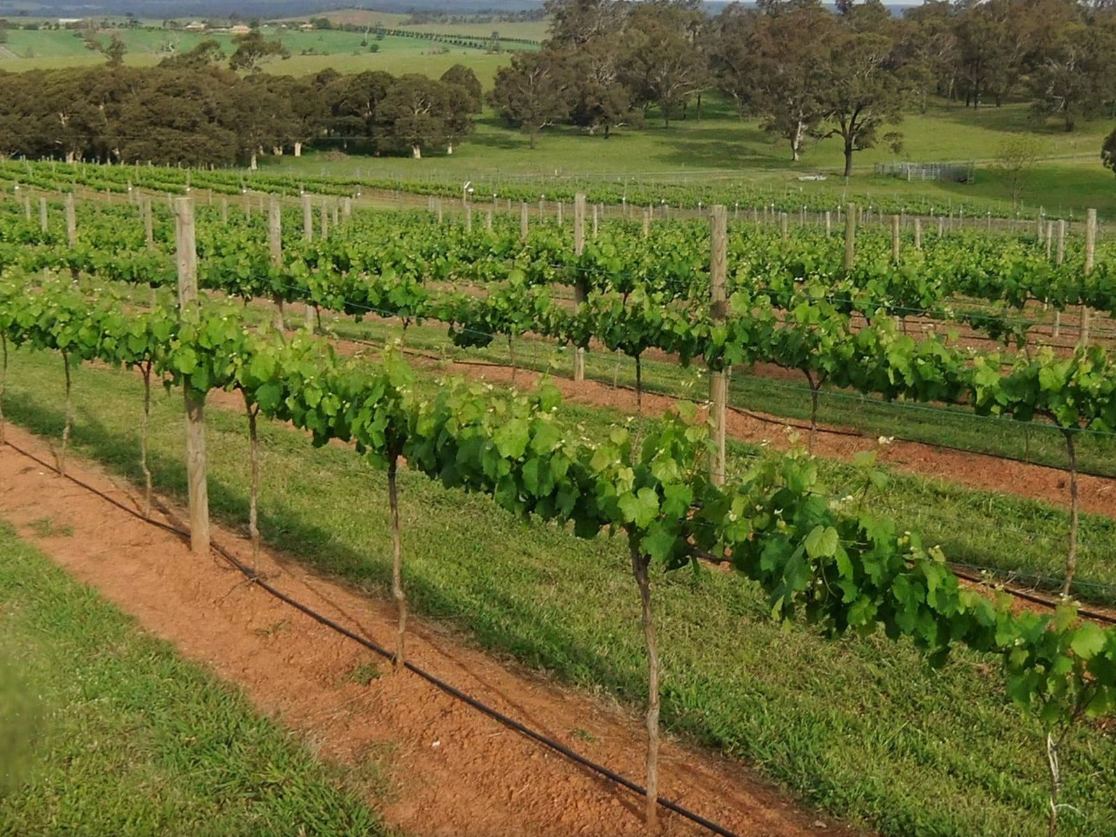 Menangle NSW Hervey Bay Accommodation