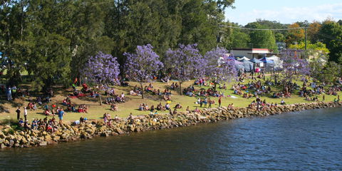 Shoalhaven River Festival - Hervey Bay Accommodation 0