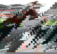 Stadium Stomp Adelaide Oval - Postponed - Tourism Hervey Bay