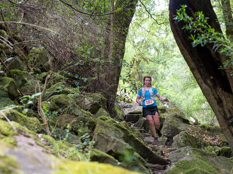Summit Shoalhaven - Hervey Bay Accommodation 2