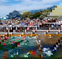 The Crescent Head Santa Surf - Hervey Bay Accommodation