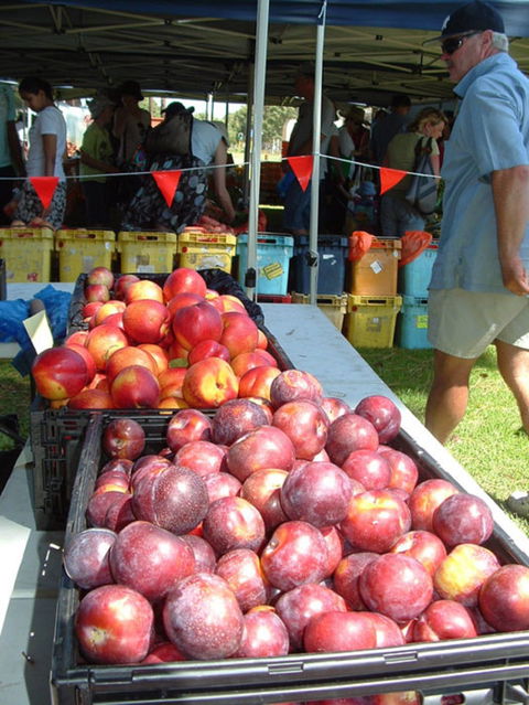 The Farmers Market On Manning - Tourism Hervey Bay 0