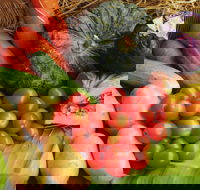 The Entrance Market - Tourism Hervey Bay