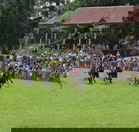 Tumut Boxing Day Races - Hervey Bay Accommodation