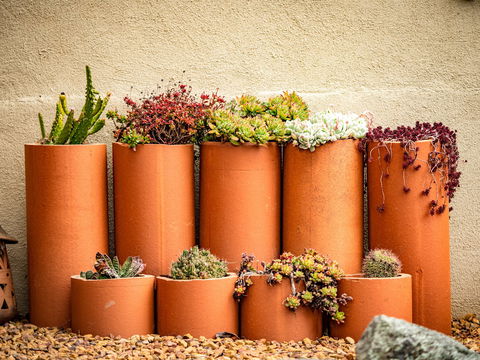 Tumbarumba Spring Flower Festival - Hervey Bay Accommodation 0