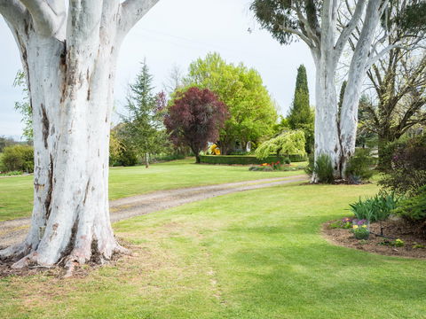 Tumbarumba Spring Flower Festival - Hervey Bay Accommodation 2