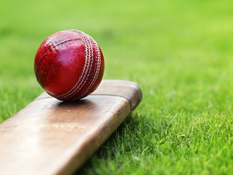 Under 13 14 15 Cricket Youth Championships - Hervey Bay Accommodation 0