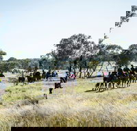 Weddin Mountain Muster - Hervey Bay Accommodation