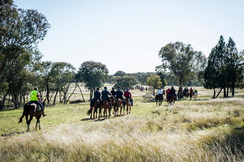 Weddin Mountain Muster - Hervey Bay Accommodation 0