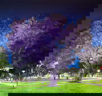 Adelaide Parklands Art Prize  Finalists Exhibition  Sale 2020 - Tourism Hervey Bay