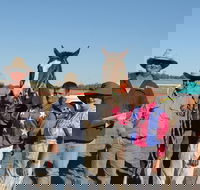 Annual Prairie Races - Hervey Bay Accommodation