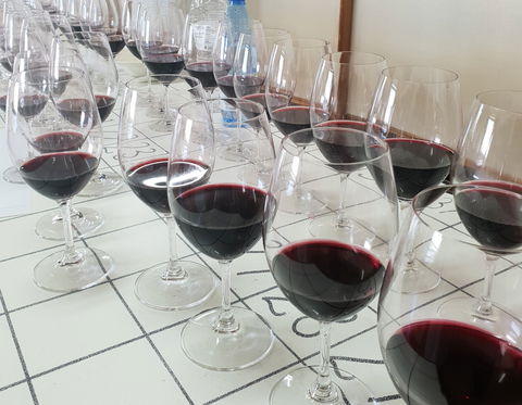 Australian Cool Climate Wine Show - Tourism Hervey Bay 1