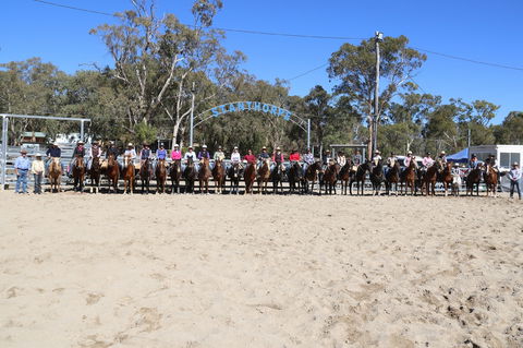 Australian Campdraft Association National Finals Campdraft 2021 - Hervey Bay Accommodation 0