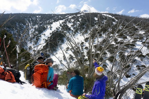 Avalanche Training Australia - Hervey Bay Accommodation 7