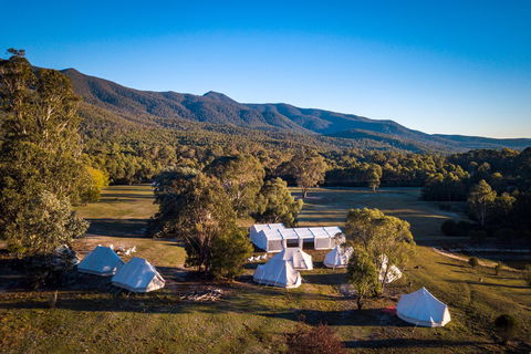 A Wild Night Out - Spring - Hervey Bay Accommodation 5