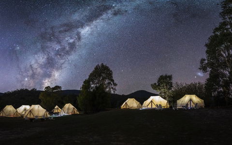 A Wild Night Out - Spring - Hervey Bay Accommodation 6