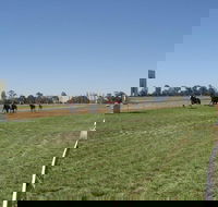 Balranald Races -Derby Day - Tourism Hervey Bay