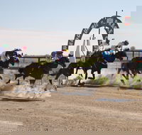 Bedourie Races and Rodeo - Hervey Bay Accommodation