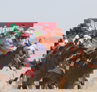 Birdsville Races - Hervey Bay Accommodation